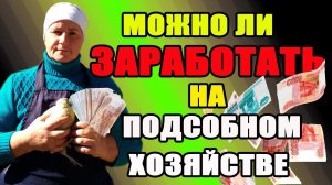 Можно ли ЗАРАБОТАТЬ на своем подсобном хозяйстве.