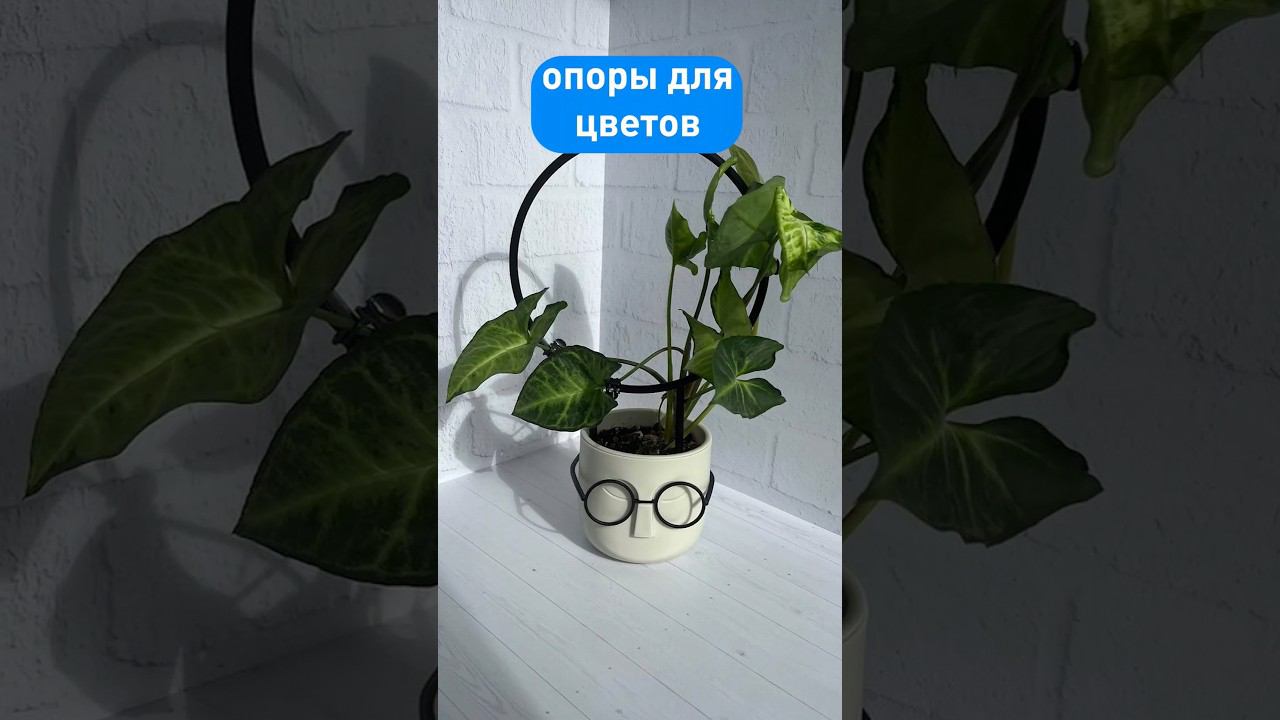 Опоры для цветов на 3д принтере #уголоктехнаря #3дпечать #3дпринтер смотреть онлайн