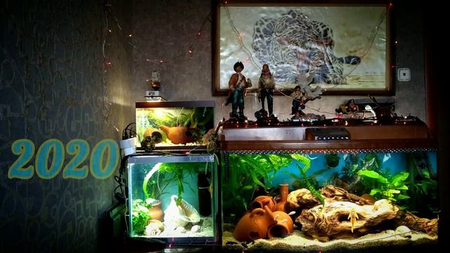 Новогодний аквариум 2020 - New Year's Aquarium 2020 смотреть онлайн