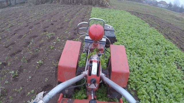 Фреза мотор сич и люцерна. Фрезирую горчицу перед заморозками. смотреть онлайн