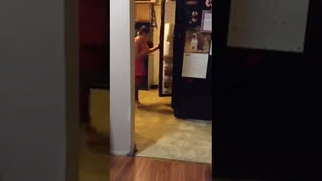 Open the Fridge! смотреть онлайн