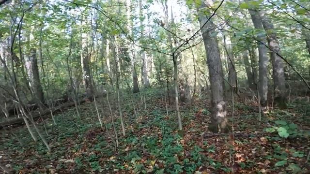 Йога для преодоления зависимостей