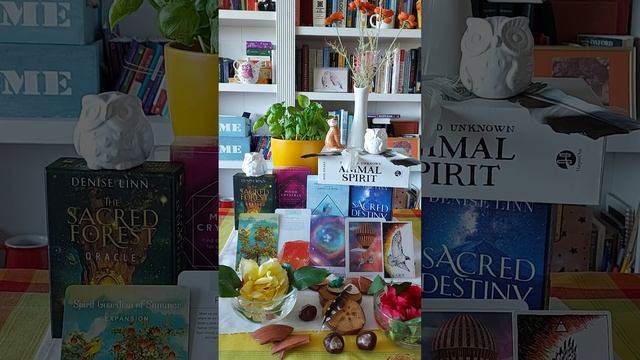 Gemini ♊ Spirit Guardian of Summer. Playful. Jump In. Change. Hawk. смотреть онлайн