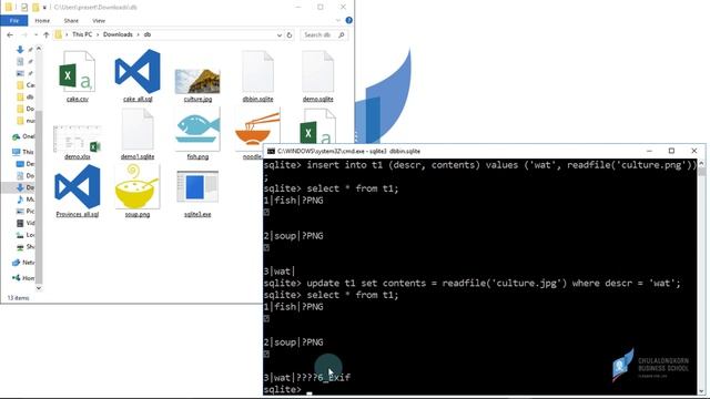 สอน SQLite: การจัดเก็บและเรียกใช้ข้อมูลแบบ Binary (BLOB) เช่น ไฟล์รูปภาพ смотреть онлайн