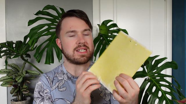 How to Get Rid of Fungus Gnats (Plus Bonus Pest Spray) смотреть онлайн