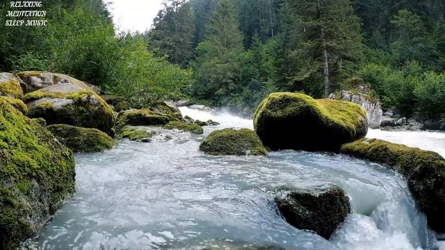 ?Расслабляющий Лесной Водопад Звуки Природы Пение птиц Успокаивающий Звук Воды Белый шум смотреть онлайн