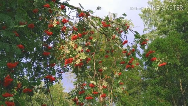 Seurasaari Island Helsinki Filand смотреть онлайн