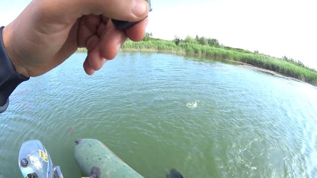 рыбалка на Дону ловим щуку х Арпачин 2018 смотреть онлайн