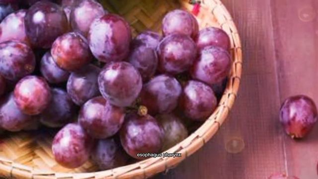 🔴 Grapes • Amazing Benefits the of Grape ¦| Plant World смотреть онлайн