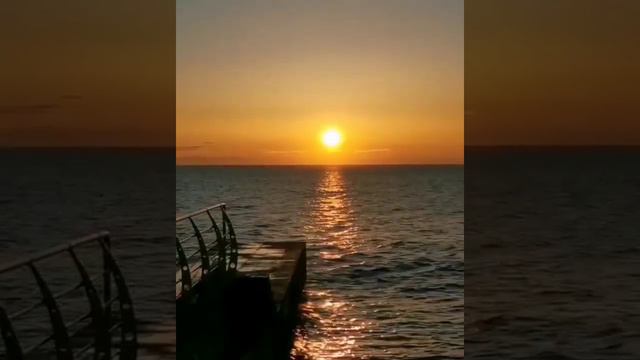 океан, прибой, побережье, легкие волны, море, чайки, ocean, surf, coast, light waves, sea, seagulls смотреть онлайн