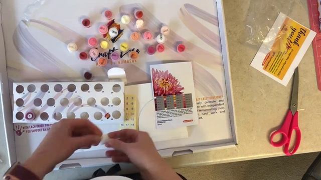 Paint by Number Craft Ease Review смотреть онлайн