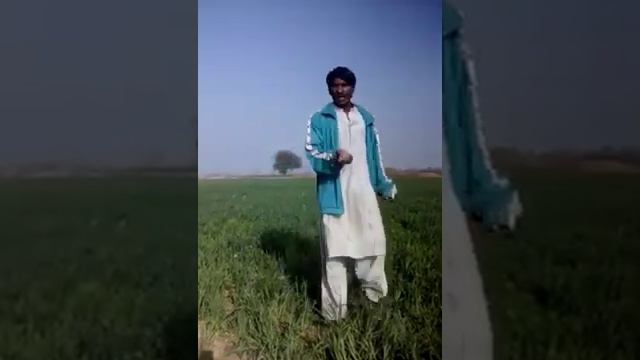 larky ny asa dance Kia k maza agiya смотреть онлайн