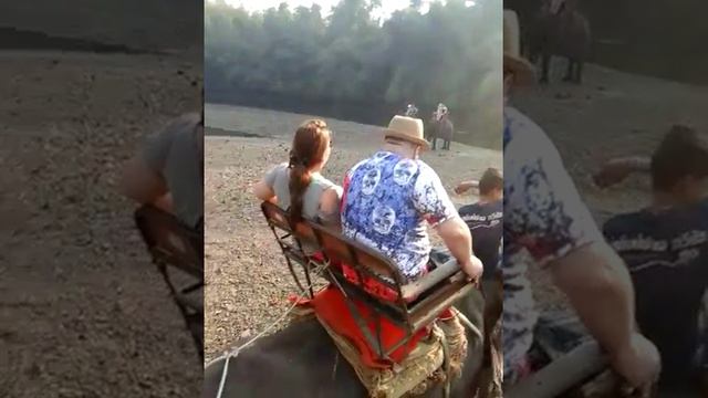 Катаемся на слонах смотреть онлайн