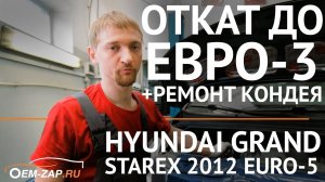 Удаление сажевого фильтра и катализатора Hyundai Grand Starex  D4CB