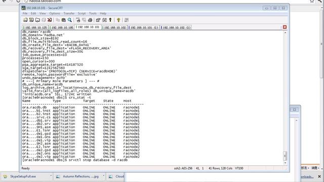 01.31_Oracle_10gR2_RACDG_1.31 Configuring the Initialization Parameters(2012_01_13).flv смотреть онлайн