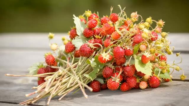 КАК ОЧИСТИТЬ ОТ КАМУШКОВ ЖЕЛЧНЫЙ ПУЗЫРЬ "СУПЕР - ВКУСНЯШКОЙ".ЛЕЧЕБНЫЕ СВОЙСТВА ЗЕМЛЯНИКИ. смотреть онлайн
