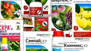 Обработка яблонь от вредителей (Плодожорки) | VolkoFF_video