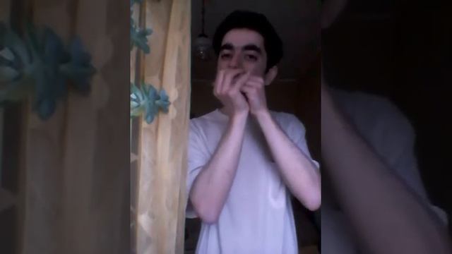 Father Kelly's Reel. Traditional Irish tune #stratocastro #harmonica #harp #губнаягармошка смотреть онлайн