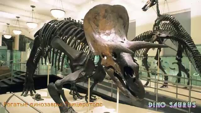 Triceratops - The Sound Effects Of Triceratops