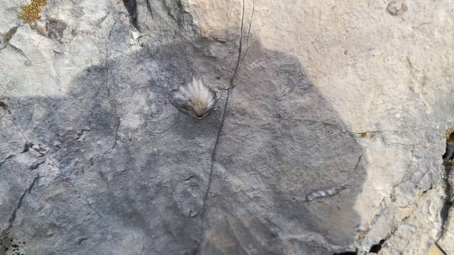 Семейный поход на Мамдзышху. Абхазия.