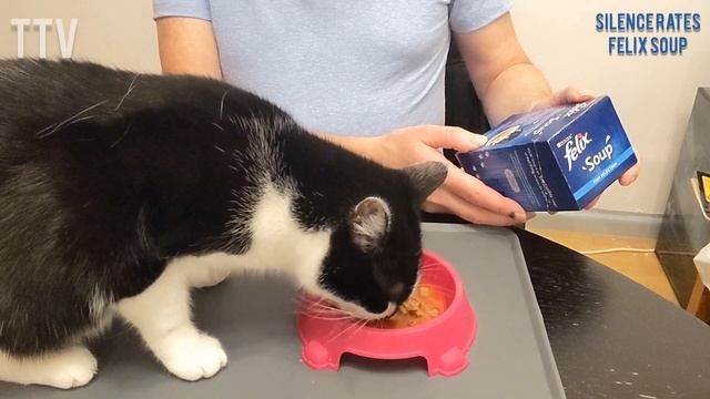 Silence The Cat Rates Felix Soup Fish Selection.        Cat Food UK Review