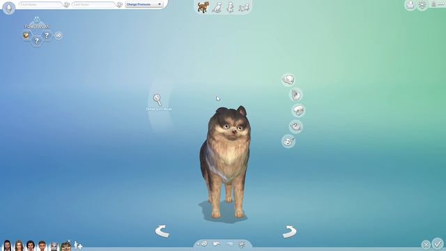 MAKING MY DREAM DOG AND CAT! Sims 4 смотреть онлайн