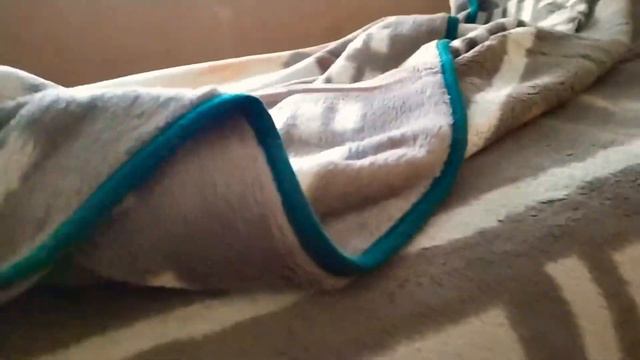 🧜♀️ крыса старается скинуть хвост смотреть онлайн