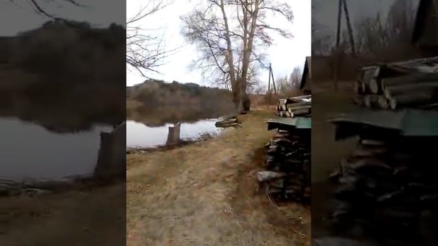 Аркуль, май 21 года, Вятка смотреть онлайн
