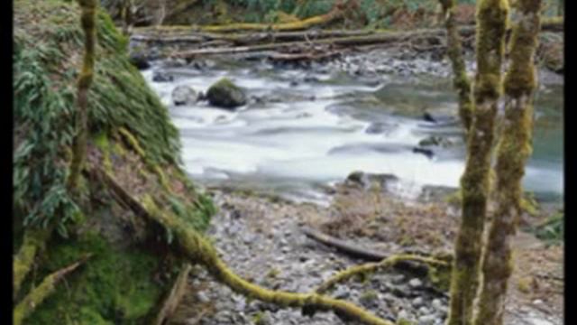 Dj.Salimov Shahin {loft}.klassika смотреть онлайн