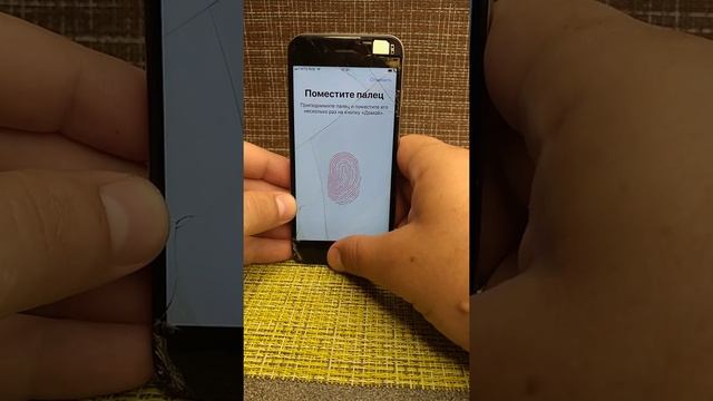 iPhone 6 32gb Ростест смотреть онлайн