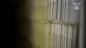 Андрей Даниленко на пасеке Егоровых