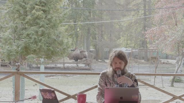 ODS Course Fest #1 смотреть онлайн