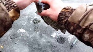 Ловля карася зимой со льда. Стоит там где даже не подумаеш.