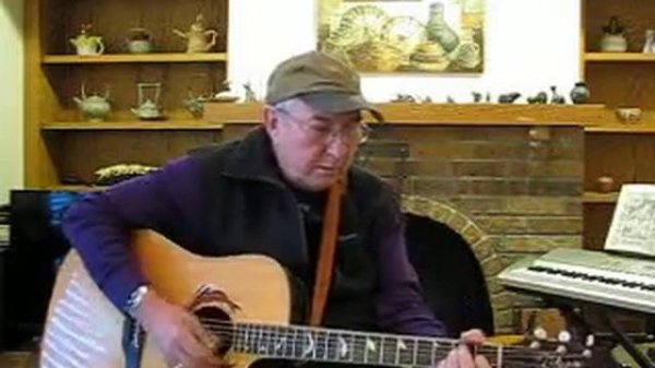 Willow the Calico Cat