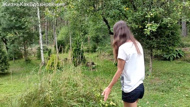 #31 Зачем гулять с ребенком? смотреть онлайн
