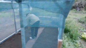 Теплица - шатёр своими руками из профиля СD 60. Лёгкая и жёсткая конструкция.