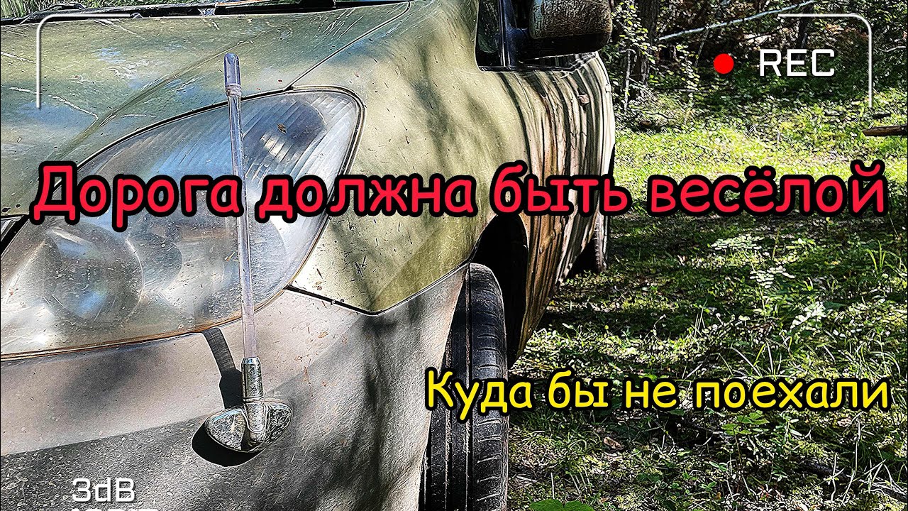 Дорога должна быть весёлой ? #car #offroad #toyota