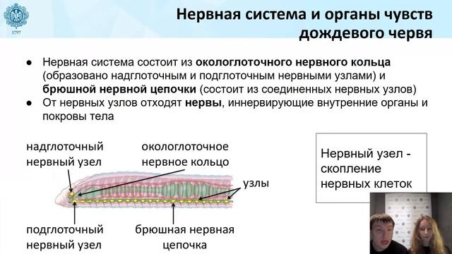 04.03.2022 15:00 7К Биология. Жизнь дождевого червячка. Тип Кольчатые черви, класс Малощетинковые смотреть онлайн