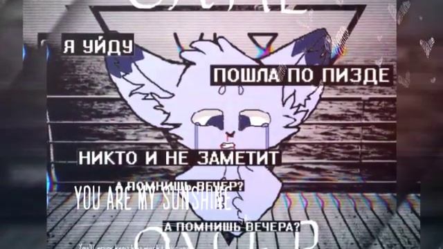 Какой окрас лучше?~ .^ смотреть онлайн