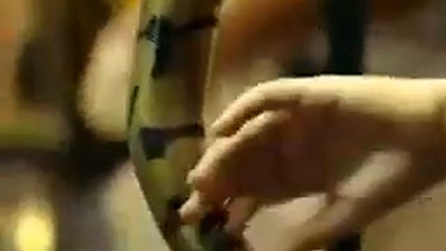 Класс, фото с крокодилом рулит! смотреть онлайн