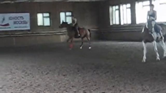 Бал. Мой ласковый и нежный зверь...wmv смотреть онлайн