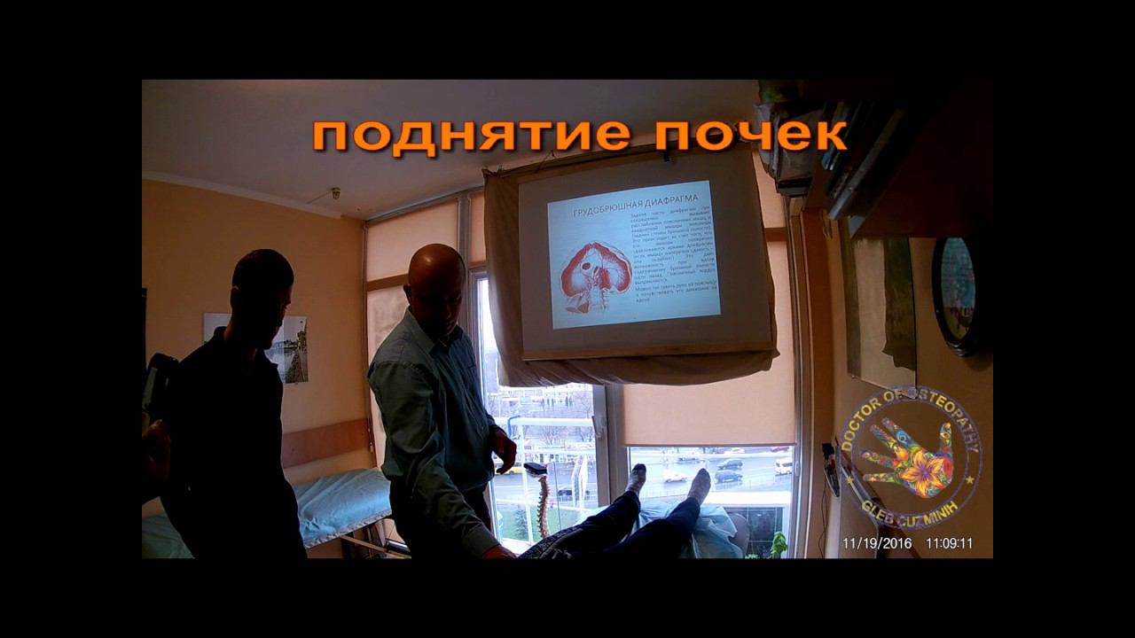 Поднятие почек смотреть онлайн