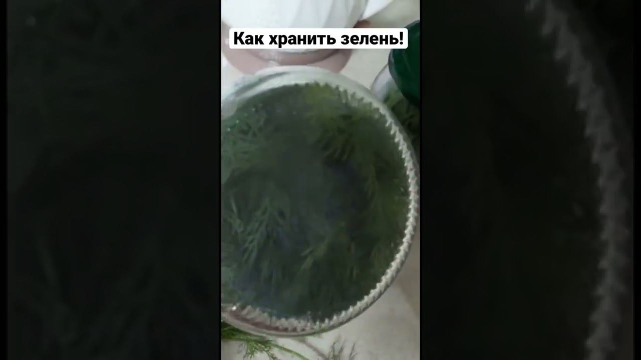 Лайфхак! Как хранить зелень! #зелень #совет #лайфхак #дляженщин смотреть онлайн