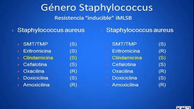 CyM microbiologia - MICROBIOLOGIA 7 смотреть онлайн
