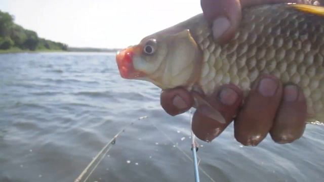 Лещ на новом месте рыбалка в Запорожье смотреть онлайн