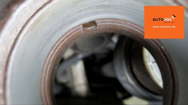 Radlager vorn wechseln - Skoda Fabia  VAG