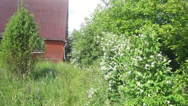 Дача в Субботино 1500000 руб смотреть онлайн