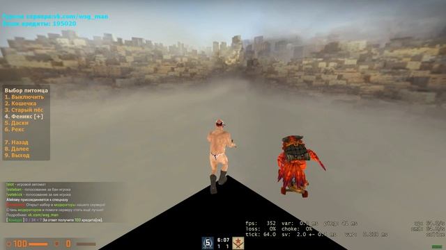 Питомцы для CS:GO смотреть онлайн