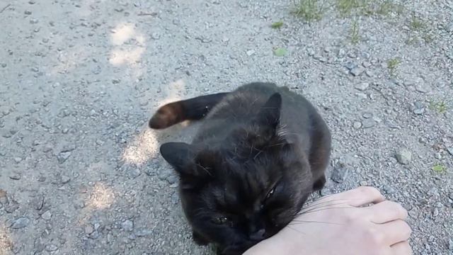 #30milodays день 2. Льются дни на даче