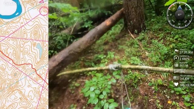Спортивное ориентирование (headcam orienteering) - Рельеф и Гидрография 2022, Алоль - 12.07.22 смотреть онлайн